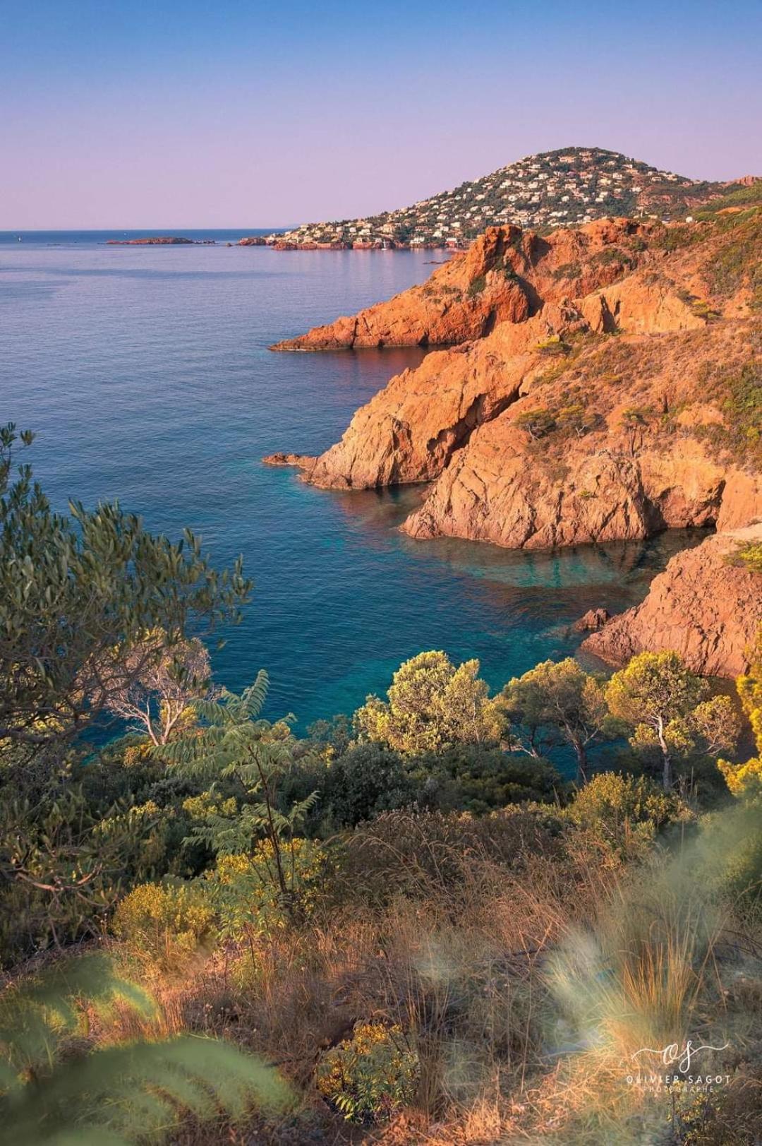 Petit Paradis Vue Mer- Et Calanques A 3 Mn Apartment