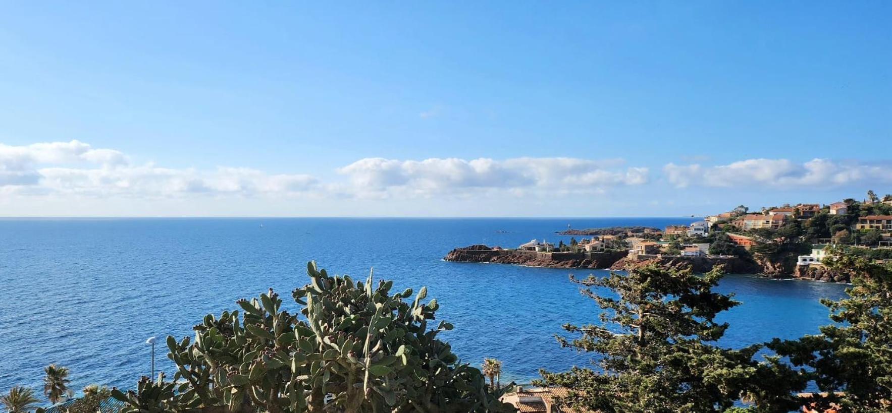 Petit Paradis Vue Mer- Et Calanques A 3 Mn