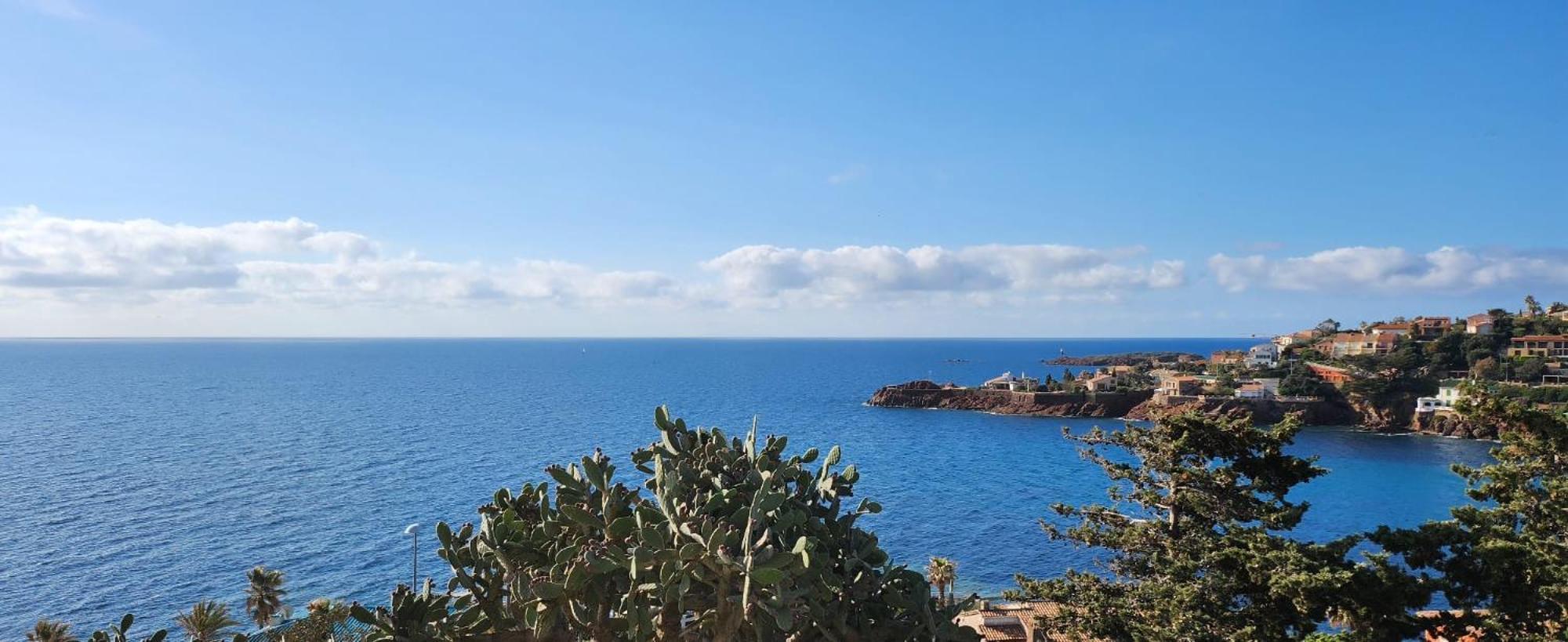 Petit Paradis Vue Mer- Et Calanques A 3 Mn Apartment *